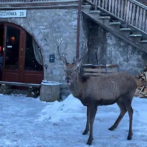 Schody Do Nieba Homestay szállás Zakopane